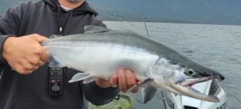 man on boat holding caught fish